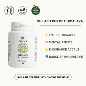 Shilajit de L'Himalaya